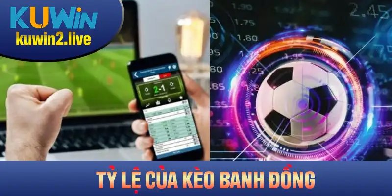 Các yếu tố chính tác động đến tỷ lệ của kèo banh đồng